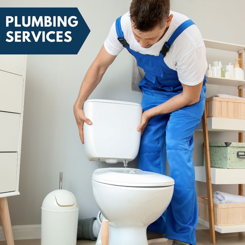 Plumbing Company in Belle Rive, IL